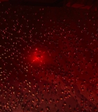 Filename=090.jpg
Filesize=135KiB
Dimensions=1920x800
Date added=Oct 22, 2025 090.jpg